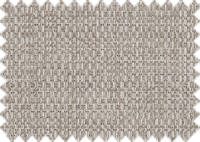 ARTIC_51