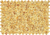 BALTIC_21