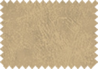 BISON_102