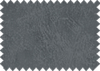 BISON_110