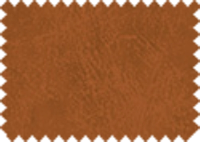 BISON_125