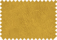 BISON_131