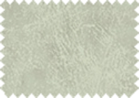 BISON_139