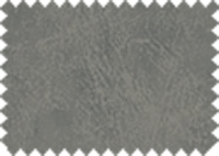 BISON_152