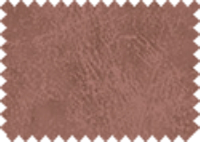 BISON_153