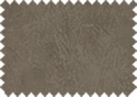 BISON_163