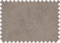 BISON_164