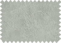 BISON_165