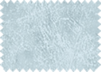 BISON_184