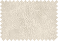 BISON_186