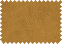BISON_420