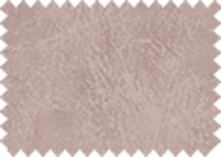 BISON_421