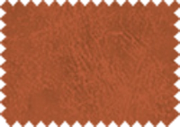 BISON_422