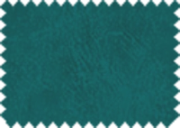 BISON_423