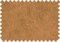 BISON_424