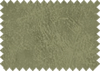 BISON_49