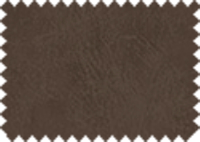 BISON_72
