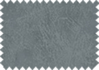 BISON_77