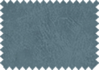 BISON_78