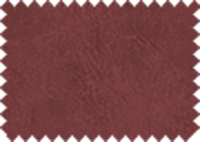 BISON_80