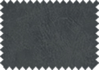 BISON_91