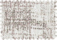 CAMELIA_52