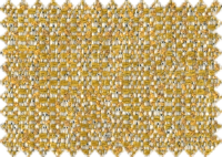 CAMILA_314