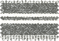 CAPRI_10