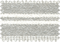 CAPRI_300