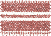 CAPRI_30