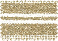 CAPRI_357