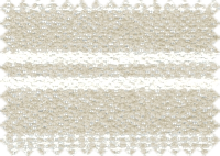 CAPRI_51