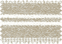CAPRI_90