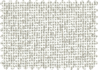 CARENA_300