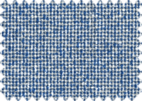 CARENA_434