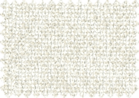 CURASAO_56