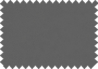 DAYTONA_110