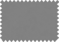 DAYTONA_152