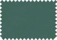 DAYTONA_156
