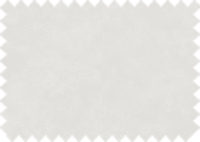 DAYTONA_60