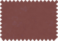 DAYTONA_80