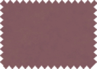 DAYTONA_HP_153