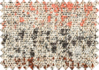 DOLCE_30