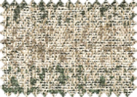 DOLCE_372