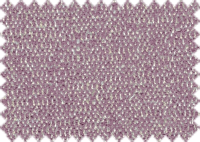 ELBA_1342