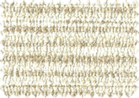 FONTANA_51