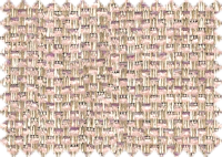 GLORIA_324