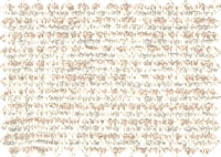 GOA_300