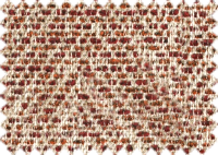 GOA_30