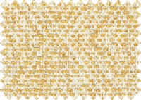 GOA_314